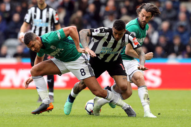 随着阳光渐 随着阳光渐